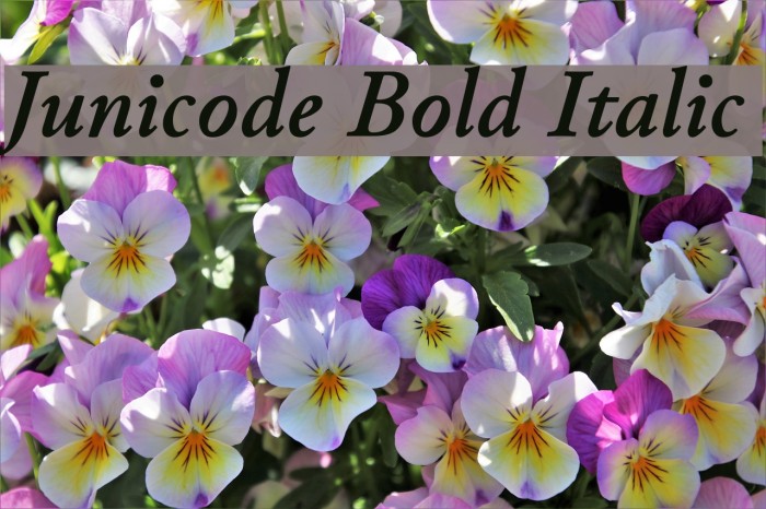 Junicode Bold Italic Font examples