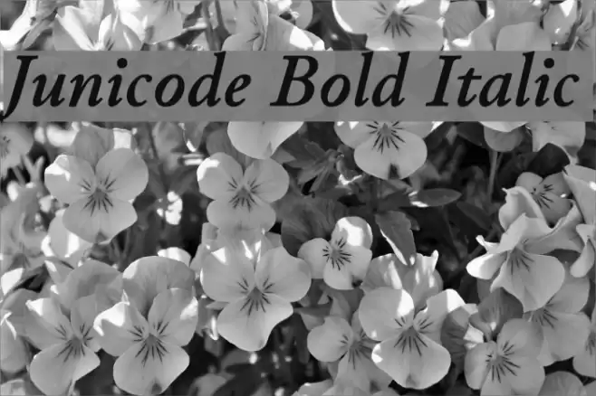 Junicode Bold Italic Font examples