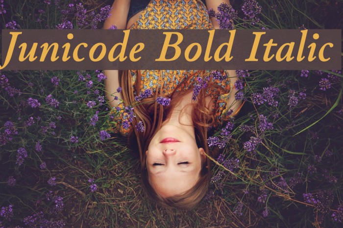 Junicode Bold Italic Font examples