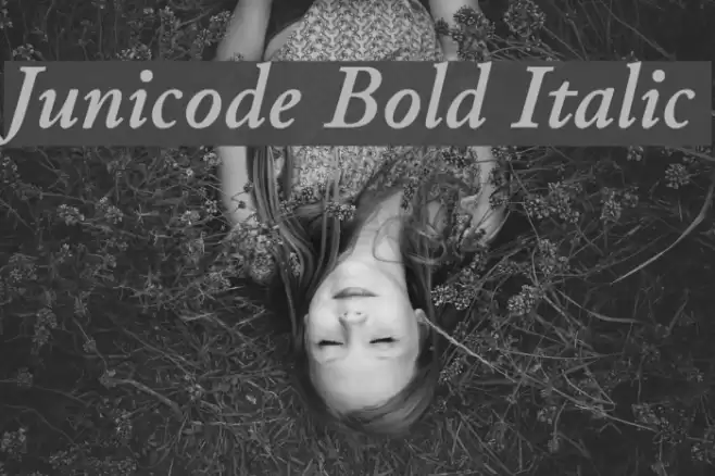 Junicode Bold Italic Font examples