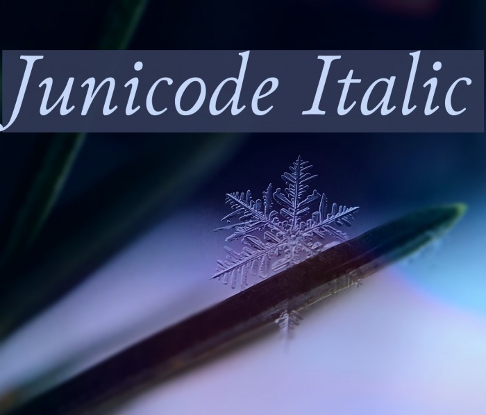 Junicode Italic Font examples