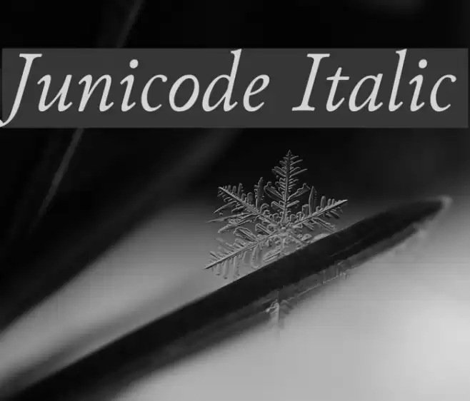 Junicode Italic Font examples