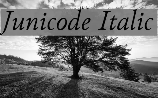 Junicode Italic Font examples