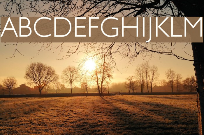 JunienLight Tryout Font examples