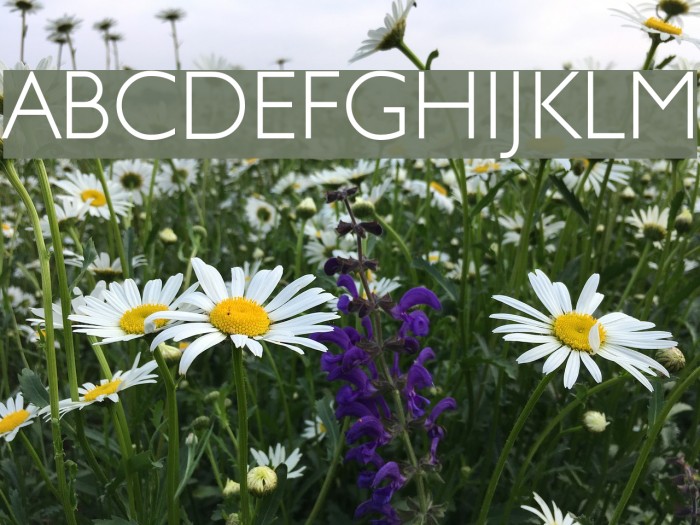 JunienLight Tryout Font examples