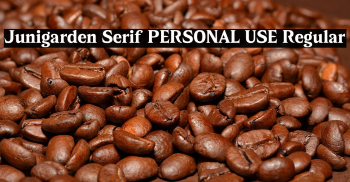 Junigarden Serif PERSONAL USE Regular Example 1