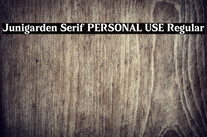 Junigarden Serif PERSONAL USE Regular Example 3