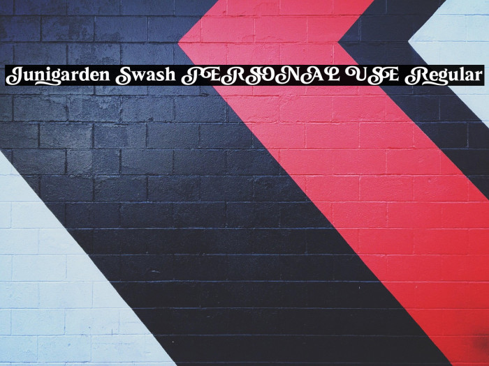 Junigarden Swash PERSONAL USE Regular Example 3