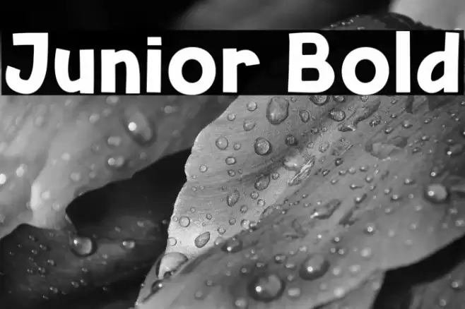 Junior Bold Font examples