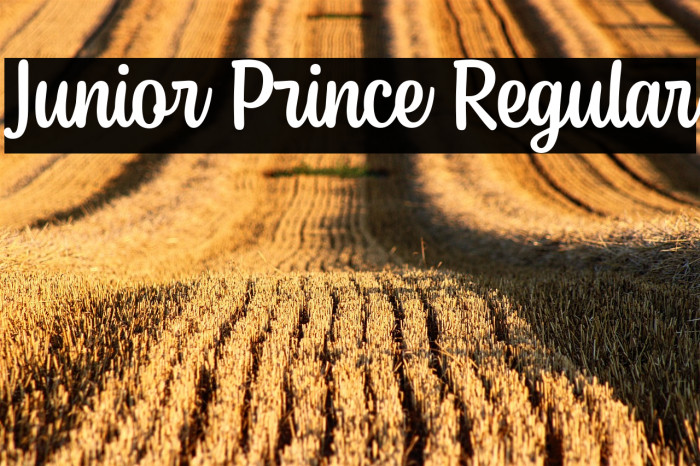 Junior Prince Regular Example 2