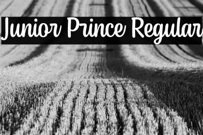 Junior Prince Regular Font examples