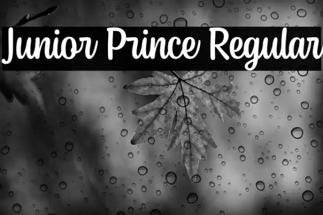 Junior Prince Regular Font examples
