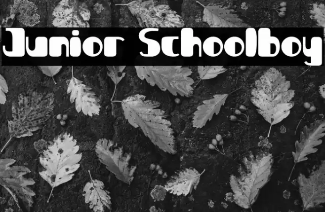 Junior Schoolboy Font examples