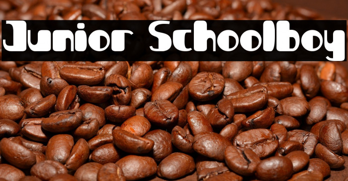 Junior Schoolboy Example 3