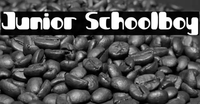 Junior Schoolboy Font examples