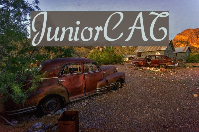JuniorCAT Font examples