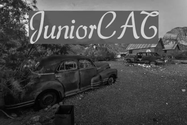 JuniorCAT Font examples