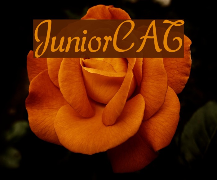 JuniorCAT Font examples