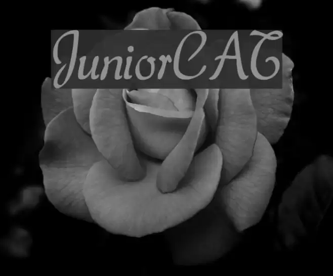 JuniorCAT Font examples