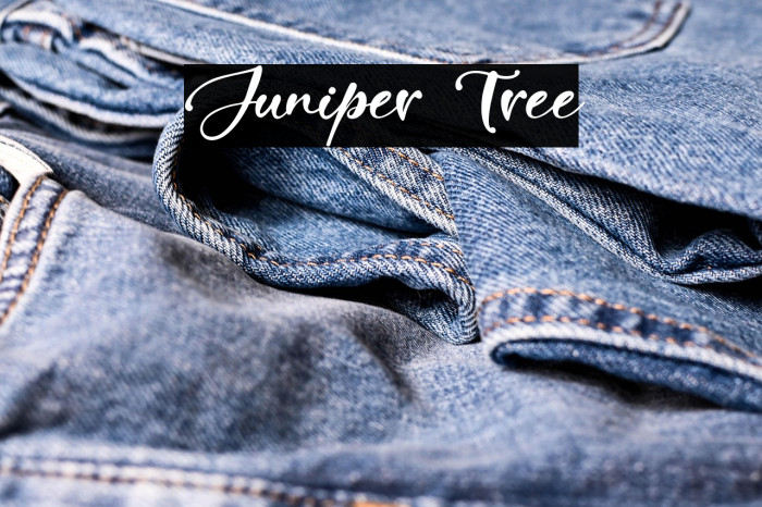 Juniper Tree Example 1