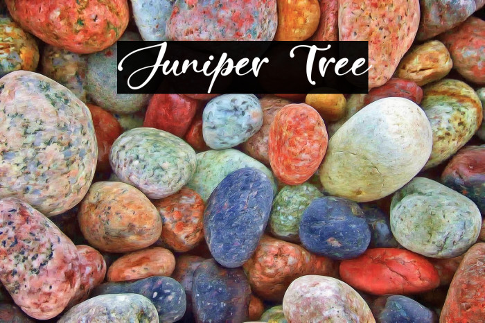 Juniper Tree Example 3