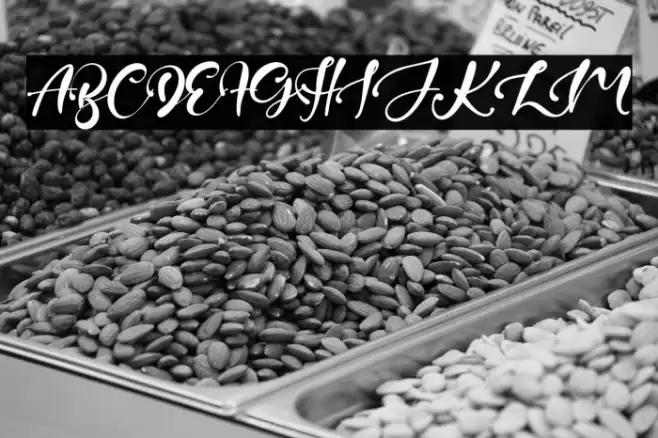 JuniperTree Font examples