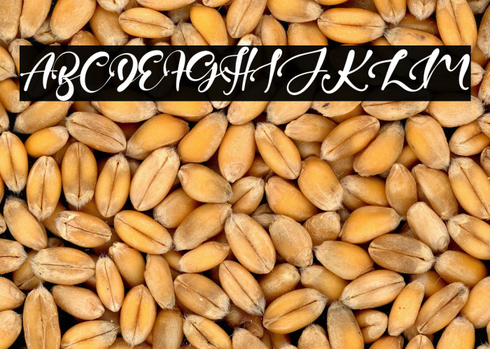 JuniperTree Example 2