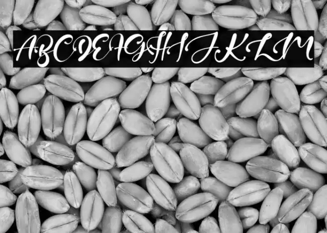 JuniperTree Font examples