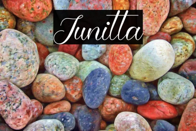 Junitta Example 2