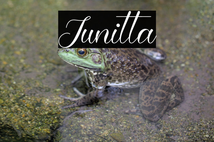 Junitta Example 3