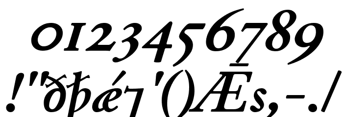 Junius BoldItalic Font OTHER CHARS