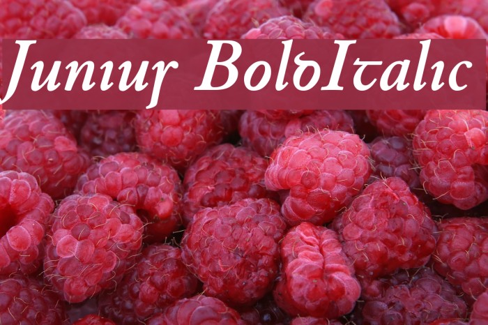 Junius BoldItalic Font examples