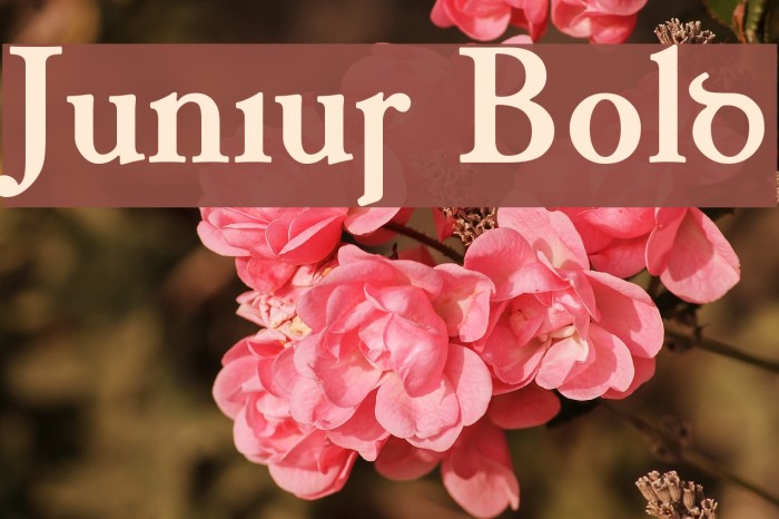 Junius Bold Font examples