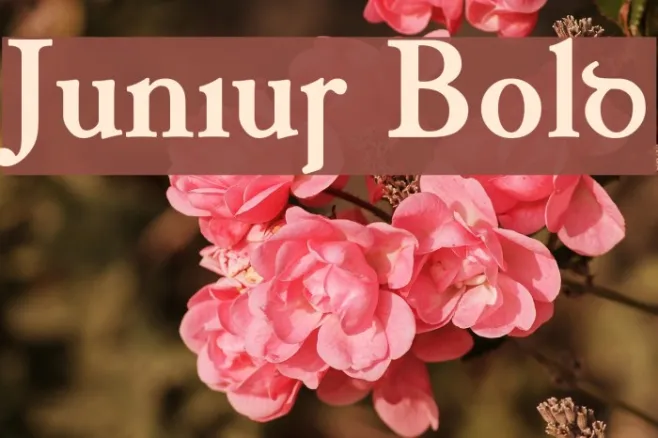 Junius Bold Example 2