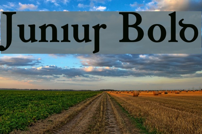 Junius Bold Font examples