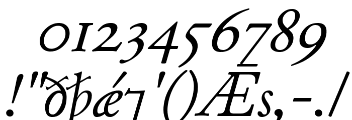 Junius Italic Font OTHER CHARS