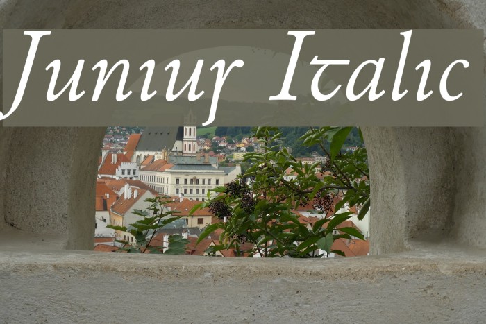 Junius Italic Font examples