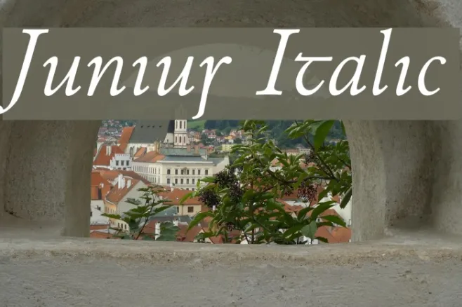 Junius Italic Example 1