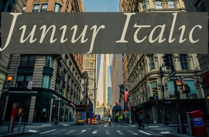 Junius Italic Font examples