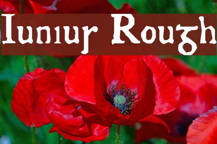 Junius Rough Font examples