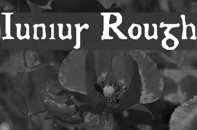 Junius Rough Шрифта examples