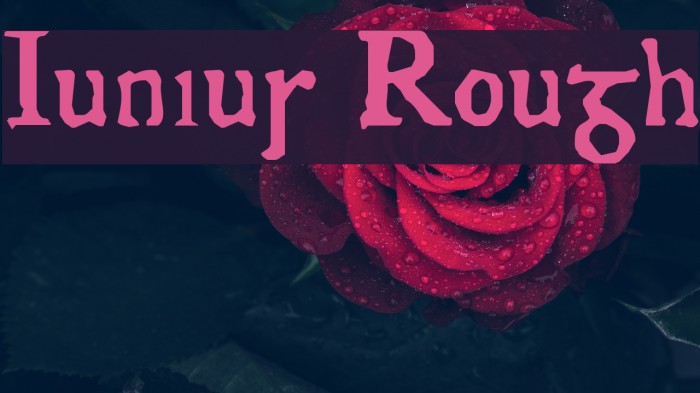 Junius Rough Font examples