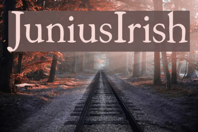 JuniusIrish Example 3