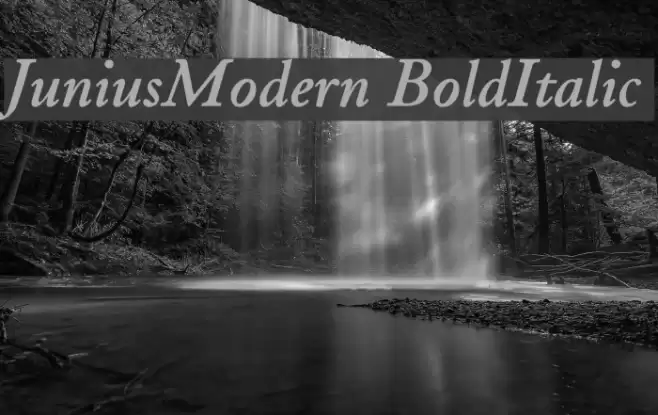 JuniusModern BoldItalic Font examples