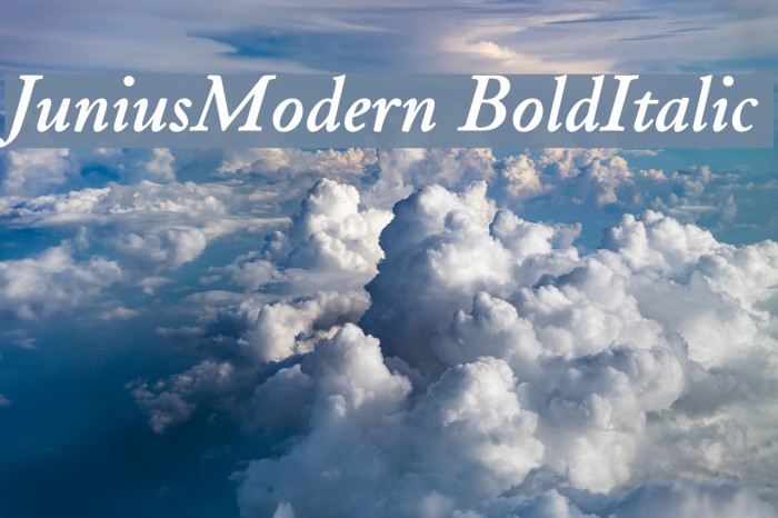 JuniusModern BoldItalic Font examples