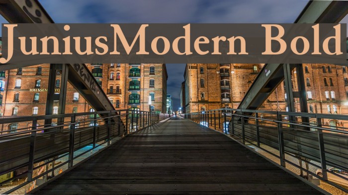 JuniusModern Bold Font examples