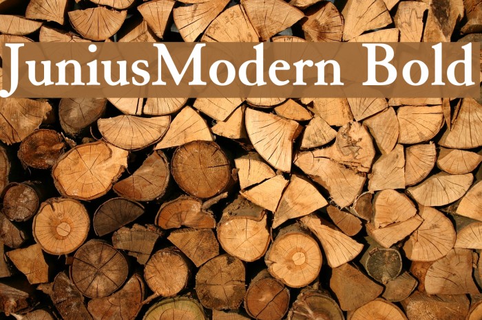 JuniusModern Bold Font examples