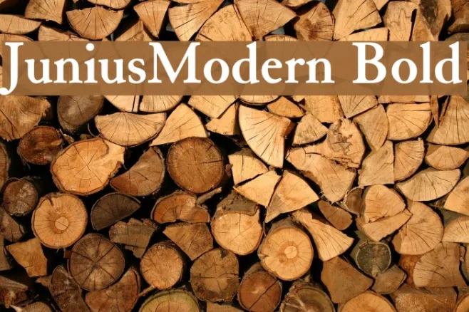 JuniusModern Bold Example 3