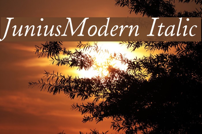 JuniusModern Italic Font examples
