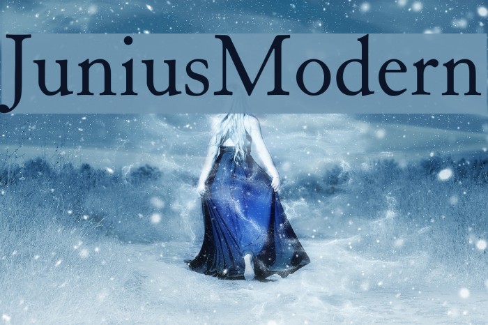JuniusModern Font examples